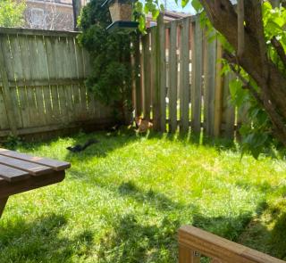 Entire Place in Downtown 2 Bedroom Basement Suite - 4