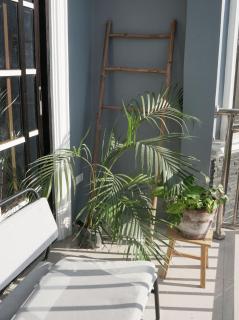 Spacious 3BR Vacation Home with Rooftop - San Juan - 6