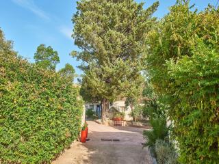 Ground floor house in the south of Corsica - Sari-Solenzara - 3
