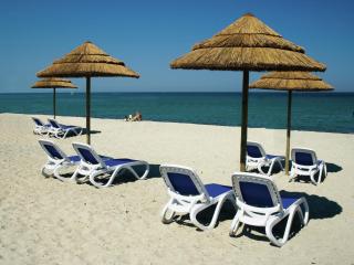 Nice apartments on beautiful Corsica - San-Nicolao - 3