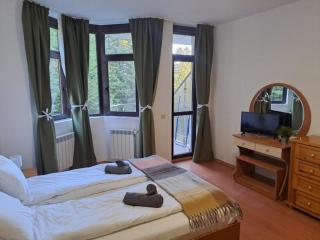 FLORA Apartment Hotel STUDIO 411 - Borovets - 0