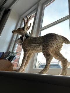 Grade 2 Cottage 1 bedroom, Ludlow centre - 8