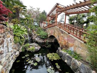 Charming Backyard Guest House with Koi Pond - 4