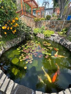 Charming Backyard Guest House with Koi Pond - 1