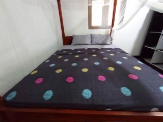 Mashi Home Stay - Ahangama - 6