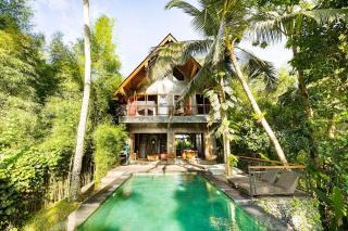 Secluded Jungle Getaway - Ubud - 9