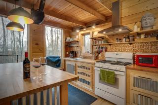 The Rhubarbary Ruins - with an outdoor sauna - Petoskey - 7
