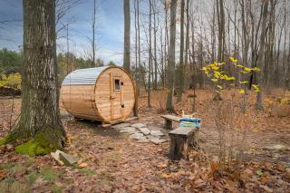 The Rhubarbary Ruins - with an outdoor sauna - 6