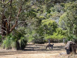 By the River - idyllic getaway - 5