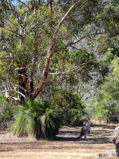By the River - idyllic getaway - Margaret River - 3