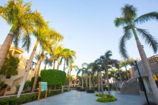 Stella Gardens Resort & Spa, Makadi Bay - Hurghada - 7