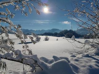 Gästehaus Koch - Fischen - 6