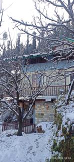 Apple view Homestay - 4