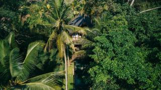 Secluded Jungle Getaway - Ubud - 0