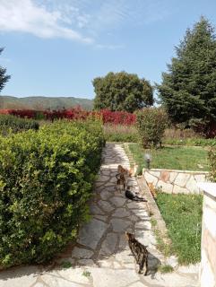 VALIA ROOMS - 2