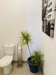 T3 récent avec terrasse et parking - 3