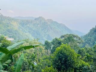 Mid Scenery Home Stay - 2