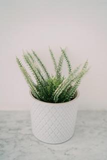 La Dolce Vita rooms - 4