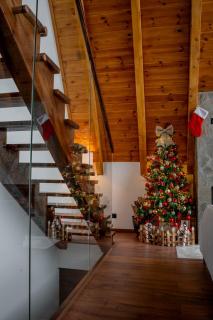 Sofia - Mountain Home - 6