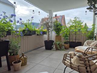 FeWo Bodensee Base - Rielasingen-Worblingen - 9