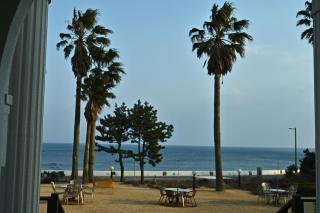 Jennyville Pension - Seogwipo - 9