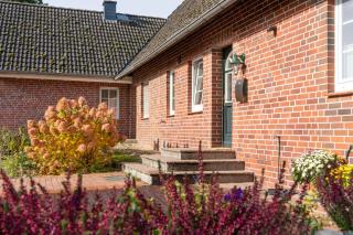 Heidehof Oberhaverbeck - Bispingen - 3