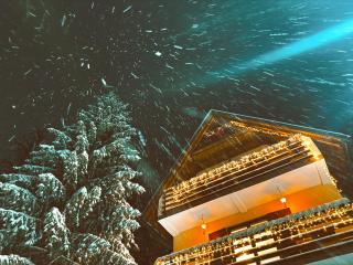 Villa "Pahulja" - Vlašić - 6