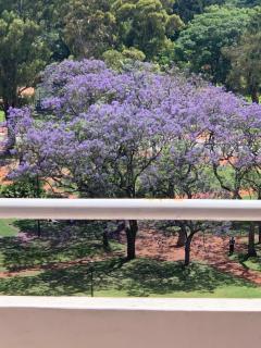 Parques de palermo - Buenos Aires - 8