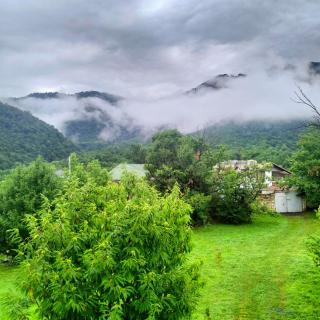 Nice Villa - Gabala - 0