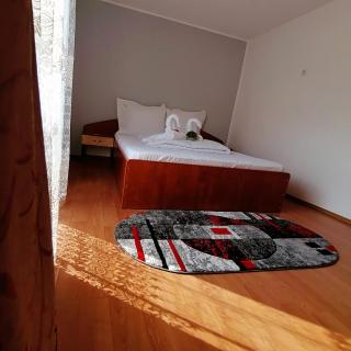 Vila Nico 2 - Moieciu de Sus - 2