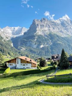 Orion - Luxuriöse Duplex Wohnung in Grindelwald - Grindelwald - 9