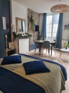 Studio 4 personnes aux pieds du château de Blois avec expérience de dormir sous les aurores boréales - Blois - 6