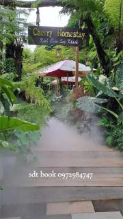 Cherry homestay bmt - Buôn Ðũng - 5