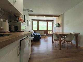 Appart 4/6 pers pied des pistes La Mongie - 4