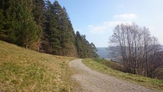 Schwarzwaldoase - Baiersbronn - 8