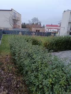 Apartament Rowerowo przez Mierzeję, rowery gratis - Sztutowo - 9