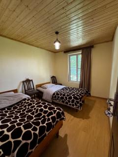 Shorena's Homestay - Tsvirmi - 1