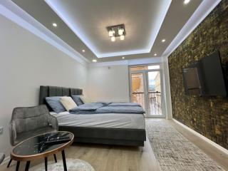 City Center - Superior Studio with Balcony - Sarajevo - 5