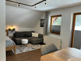 Haus Sonnleitner Studio Rittisberg - Ramsau am Dachstein - 9