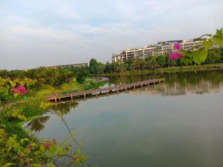 The New Me - Cong Luận - 2