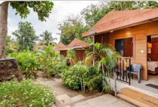 Royalstar Resort - Vagator - 6
