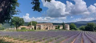 Le Cosy Luberon - Gite provençal avec piscine - Viens - 0