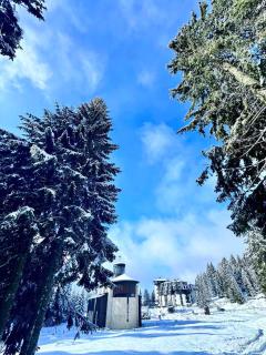Tavita Kopaonik - 8