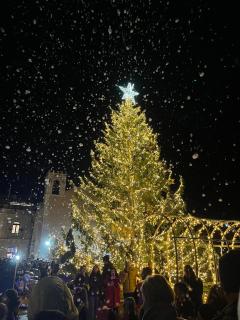 Taormina charming rooms - 5