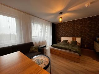 Apartmán AirPort Time - Bratislava - 7