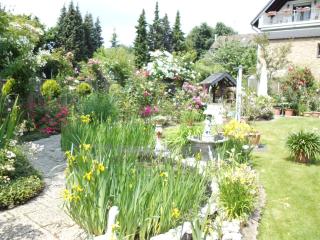 Elfi's Appartments - Leichlingen - 9