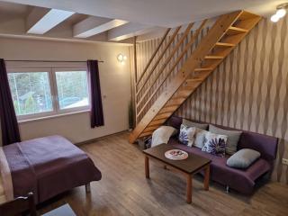 Apartmány Sophia 5 a 6 - Velké Losiny - 7