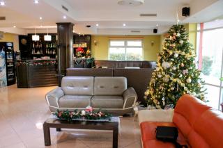SEP Hotel - Arad - 4