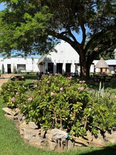 The Halfway House, Headlands - 8