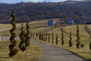 Shakaryan Rancho&Restaurant - 8